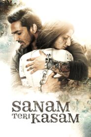 Sanam Teri Kasam 2016 on netflix