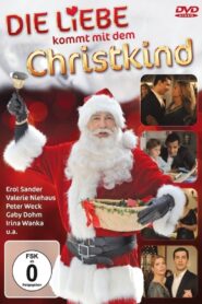 Die Liebe kommt mit dem Christkind 2010 on netflix