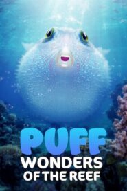 Puff: Wonders of the Reef 2021 on netflix