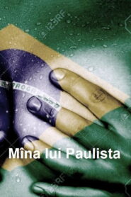 The Hand of Paulista 1998 on netflix