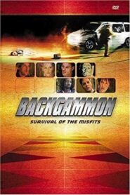 Backgammon 2001 on netflix