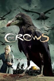 The Crows 2006 on netflix
