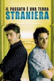 The Past Is a Foreign Land 2008 on netflix