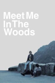 Meet me in the woods 2018 on netflix