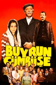 Buyurun Cümbüşe 1982 on netflix