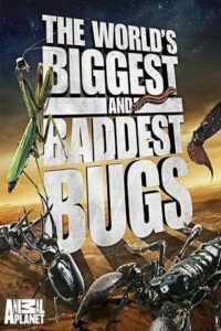 The World’s Biggest and Baddest Bugs 2009 on netflix