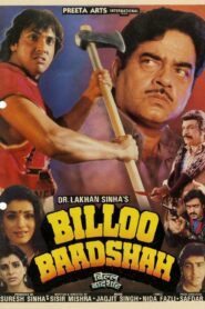 Billoo Baadshah 1989 on netflix