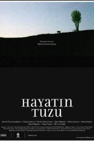 Hayatın Tuzu 2008 on netflix