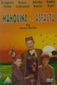 Moss-Covered Asphalt 1983 on netflix