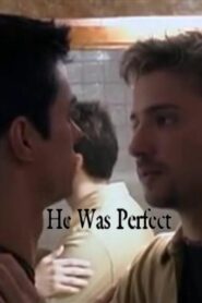 He Was Perfect 2004 on netflix
