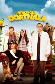 Niyazi Gül Dörtnala 2015 on netflix