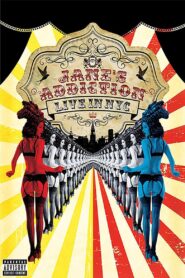 Jane’s Addiction – Live in NYC 2013 on netflix