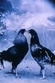 Criminal Animals 1994 on netflix