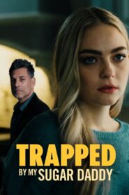 Prisoner of Love 2022 on netflix