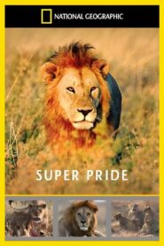 Superpride 2008 on netflix