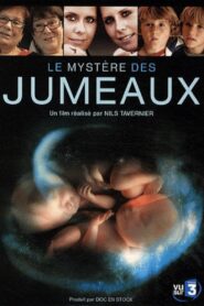 Le mystère des jumeaux 2009 on netflix