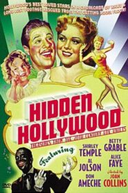 Hidden Hollywood: Treasures from the 20th Century Fox Film Vaults 1997 on netflix