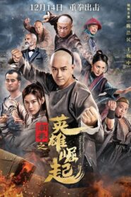 The Rise of Nanquan Fist 2021 on netflix