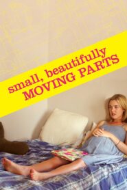 Small, Beautifully Moving Parts 2011 on netflix
