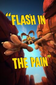 Flash in the Pain 2014 on netflix