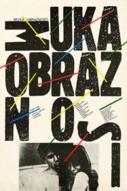Muka obraznosti 1990 on netflix