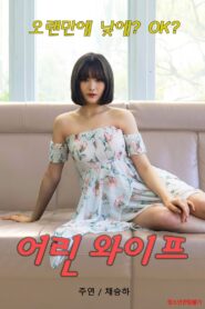 Young Wife 2020 on netflix