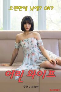 Young Wife 2020 on netflix