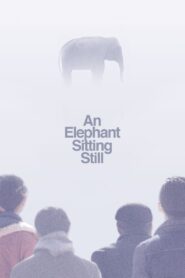 An Elephant Sitting Still 2018 on netflix