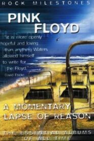 Rock Milestones: Pink Floyd: A Momentary Lapse of Reason 2007 on netflix