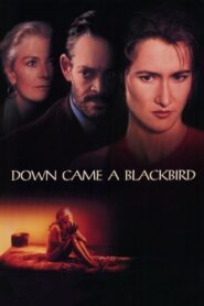 Down Came a Blackbird 1995 on netflix