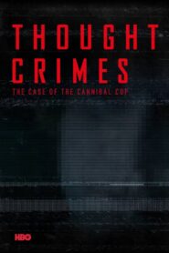 Thought Crimes 2015 on netflix