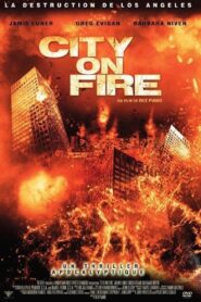 Heat Wave 2010 on netflix