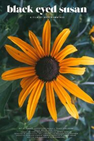Black Eyed Susan 2017 on netflix