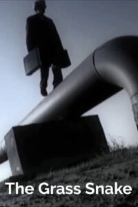The Grass Snake 2009 on netflix