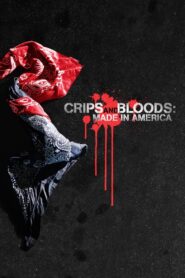 Crips and Bloods: Made in America 2009 on netflix