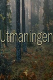 Utmaningen 1994 on netflix