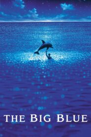 The Big Blue 1988 on netflix