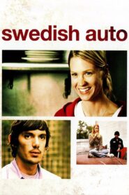 Swedish Auto 2006 on netflix