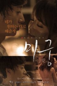 Maze: Secret Love 2015 on netflix