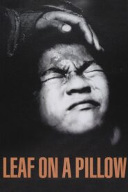 Leaf on a Pillow 1998 on netflix