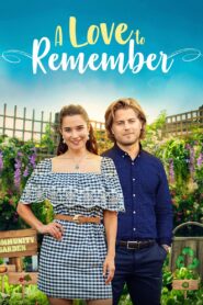 A Love to Remember 2021 on netflix