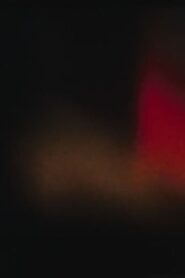 Arabic Numeral Series 18 1982 on netflix