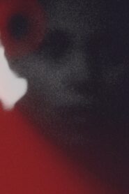 The Visible Spectrum 2022 on netflix