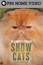 The Standard of Perfection: Show Cats 2006 on netflix