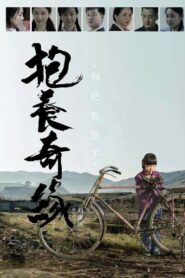 抱养奇缘 2015 on netflix