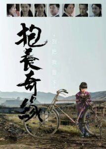 抱养奇缘 2015 on netflix