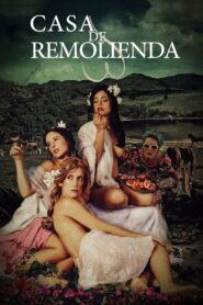 Casa de remolienda 2007 on netflix
