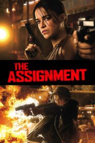 The Assignment 2016 on netflix