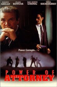 Power of Attorney 1995 on netflix