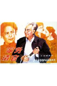 家务清官 1982 on netflix